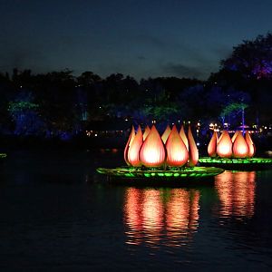 Rivers-of-Light-046