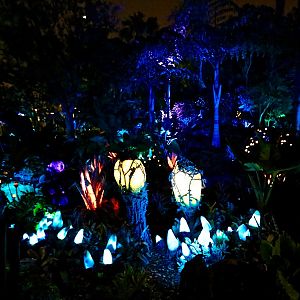 Pandora-Night-016