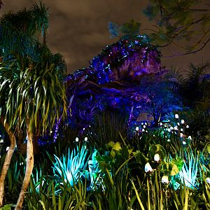 Pandora-Night-023