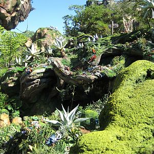 Valley of Mo'ara