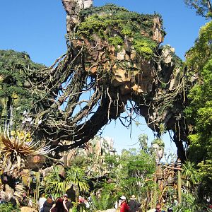 Pandora - World of Avatar - Floating mountains 1