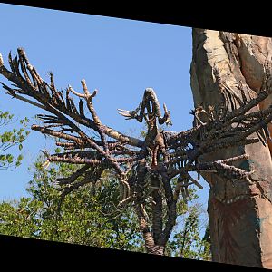 Pandora World of Avatar - native artwork - banshee - rotated