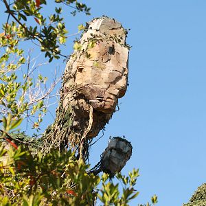 Floating Mountain - different angle