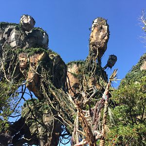 Floating Mountains from the FoP queue