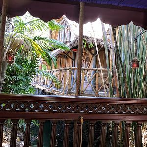 IMG_20170713_115707