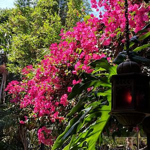 IMG_20170713_115741
