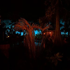 IMG_20170713_145925