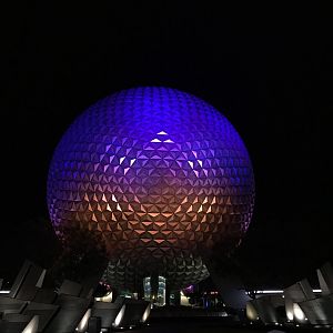 IMG_5987 2JPG