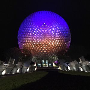 IMG_5988JPG