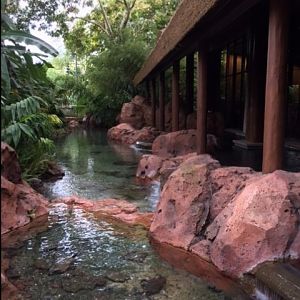 Animal Kingdom Lodge 6 2017