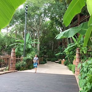 Animal Kingdom Lodge 8 2017