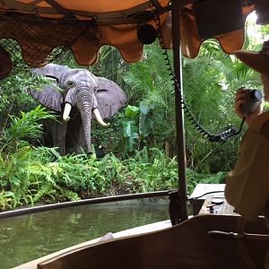 Jungle Cruise Decor 5 - MK 09-04-2017