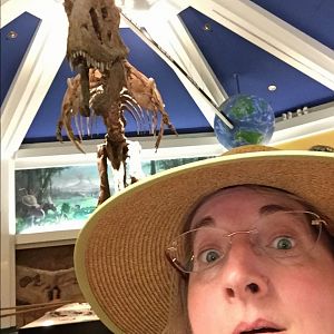 Dinosaur Stand-by Line  - AK 09-05-2017