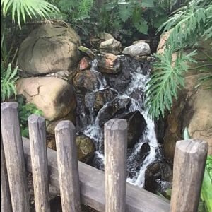 Discovery Island Lush 1 - AK 09-05-2017