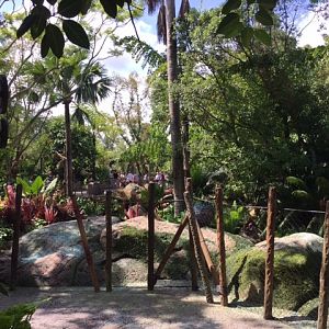 Discovery Island Lush 2 - AK 09-05-2017