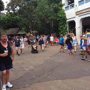Harambe 3 - AK 09-05-2017