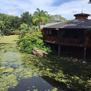 Nomad Lounge  - AK 09-05-2017