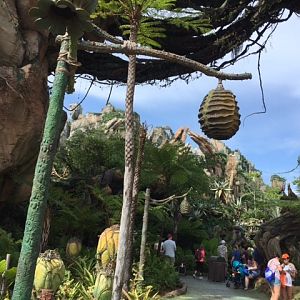 Pandora 2 - AK 09-05-2017