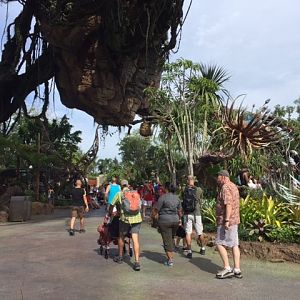 Pandora 3 - AK 09-05-2017