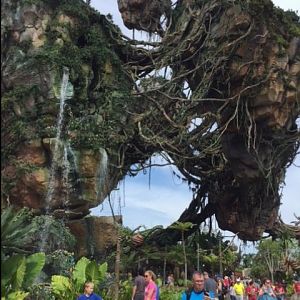 Pandora 4 - AK 09-05-2017