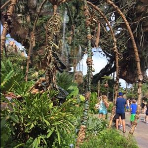 Pandora 5 - AK 09-05-2017