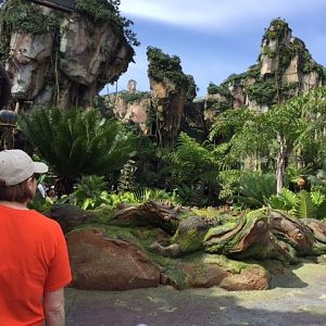 Pandora 6 - AK 09-05-2017
