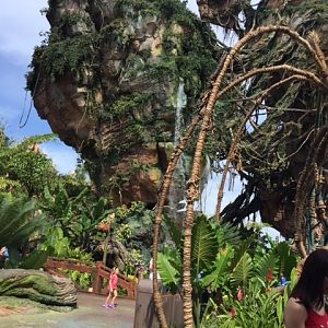 Pandora 7 - AK 09-05-2017