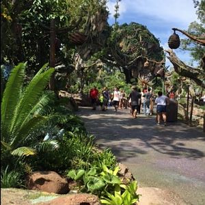 Pandora 11 - AK 09-05-2017
