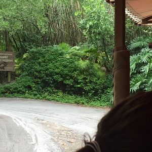 Safari 1 - AK 09-05-2017