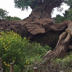 Tree Of Life 1 - AK 09-05-2017