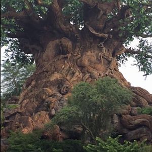 Tree Of Life 4 - AK 09-05-2017