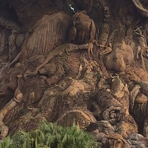 Tree Of Life 6 - AK 09-05-2017