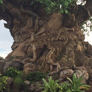 Tree Of Life 7 - AK 09-05-2017