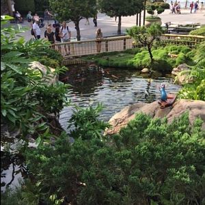 Japan 2 - Epcot 09-06-2017