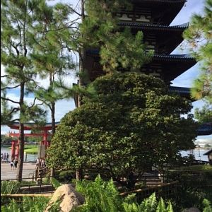Japan 3 - Epcot 09-06-2017