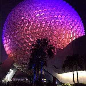 Landscape 6 - Epcot 09-06-2017