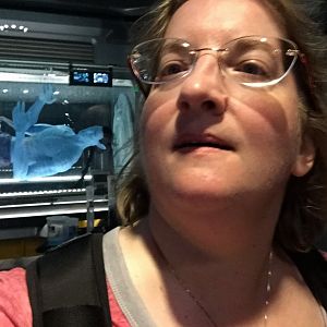Flight Of Passage Lab 2 - AK 09-09-2017