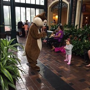 Chip & Dale In Lobby 3 - POFQ 09-10-17