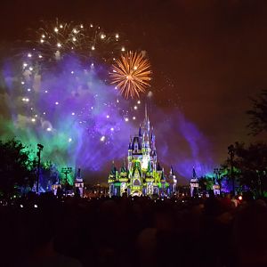 Magic Kingdom Christmas 2017