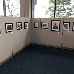 Festival-of-the-Arts-106