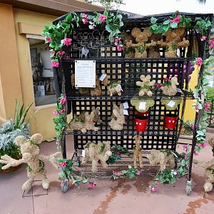 Flower-Garden-Festival-2018-014