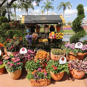 Flower-Garden-Festival-2018-018