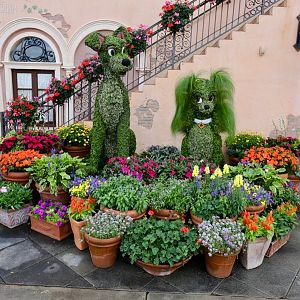 Flower-Garden-Festival-2018-067