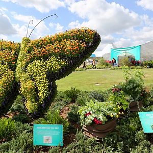 Flower-Garden-Festival-2018-102