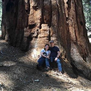 Sequoia NP (3s)