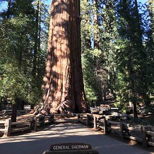 General Sherman