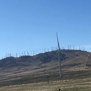 Eoliennes