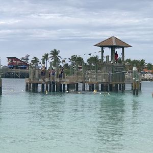 Castaway-Cay-003