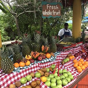 Castaway-Cay-004