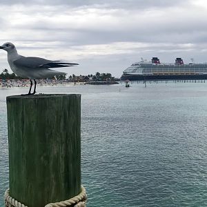 Castaway-Cay-010